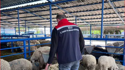 Bolu'da kurban pazarlarında sıkı denetim: Vatandaşın içi rahat olsun