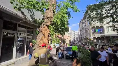 Bursa'da korku dolu anlar: Devrilen ağaç trafiği birbirine kattı