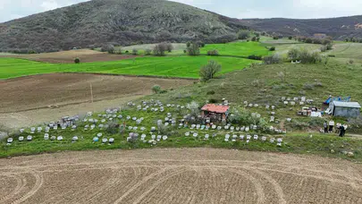 Yozgat’ta bereketli sezon beklentisi: Dededen kalma mirası dağların zirvesinde yaşatıyor