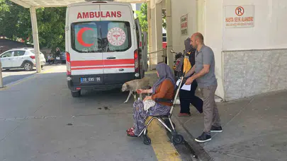 Doğadan sofraya gelen tehlike: Bir tabak mantar iki aileyi hastanelik etti