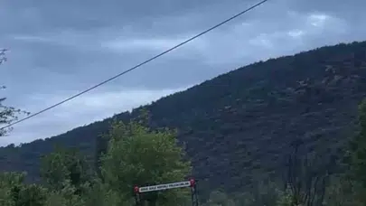 Niksar’da kabus dolu saatler: Taşan dereler tarımı vurdu, yollar kapandı