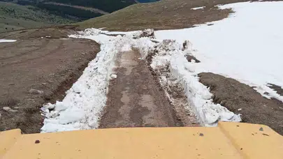 Posof'ta kış mesaisi: Yayla yolları yeniden ulaşıma açıldı