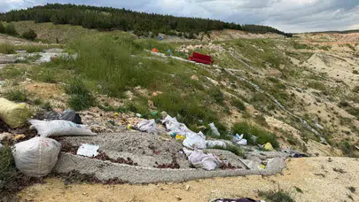 Doğa katliamına isyan ettiler: Yol kenarları çöplüğe döndü
