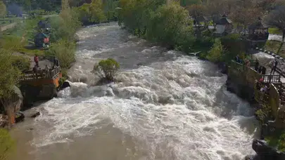Uçan balıkların görsel şöleni bu yıl ertelendi: Binlerce kilometre öteden gelenler hüsran yaşadı