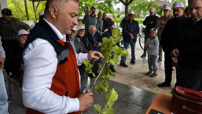 Bahçelerde verim dönemi başlıyor: Termeli üreticiler artık uzmanlaştı