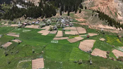Bulutların üzerinde geleneksel yaşam: 1400 rakımda imece ruhuyla toprağı işliyorlar