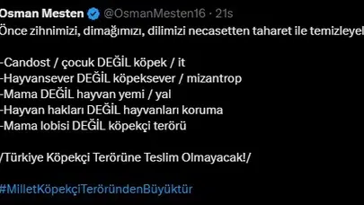 Milletvekili Mesten’in "köpekçi terörü" çıkışı: Hem tebrik yağdı hem ölüm tehdidi geldi