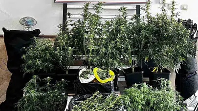 Osmangazi’de zehir tacirine jandarma tokadı: Evinden adeta uyuşturucu fabrikası çıktı