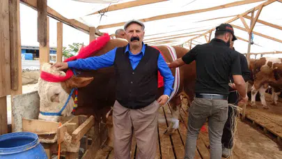 Ataşehir’in devleri podyuma çıktı: 1 tonu aşan ağırlıklarıyla pazarın gözdesi oldular