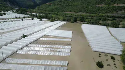 Yeşilırmak taştı, çiftçinin umutları sulara gömüldü: Hasat beklerken sezonu kapattılar
