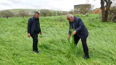 Gaziantep'te tarım arazilerini vuran doğal afet: Çiftçinin emeği bir gecede yok oldu