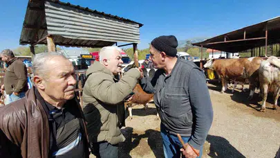 Pazarın gözdesi 340 bin liraya gitti: "İşkembe kalmamış, verimli hayvan"