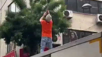 Pendik’te yürekleri ağza getiren kurtarma operasyonu: Tellerde mahsur kalan martı esnafın yardımıyla özgürlüğüne kavuştu