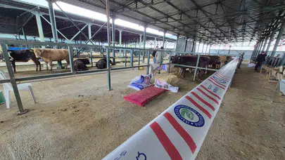 27 bin lira ödedi ama çadır bile bulamadı: Kurban pazarında isyan bayrağı açıldı