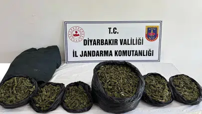 Diyarbakır’da zehir tacirlerine ağır darbe: Jandarmadan eş zamanlı şafak operasyonu