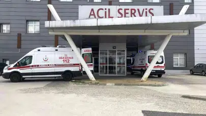 Huzurlu günleri kâbusa döndü: Yeşilsırt'ta arı dehşeti yaşlı çifti hastanelik etti