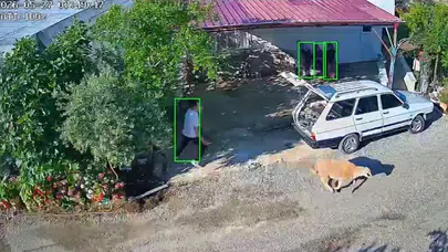Kurban Bayramı klasiği Mersin’de yaşandı: Kaçan hayvanlar hem sahiplerini terletti hem de trafiği birbirine kattı