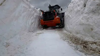 Rize’de bahar müjdesi: Metrelerce karın altındaki yayla yolları gün yüzüne çıkıyor