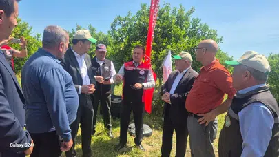 Muğla’da kimyasallara veda: Turunçgiller artık doğanın koruması altında