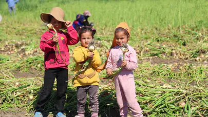 Okul sıraları yerine soğan çuvalları: Adana’nın tarlalarında kaybolan çocukluklar