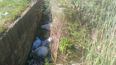 Gölbaşı’nda koku alarmı: Köylülerden acil ilaçlama çağrısı