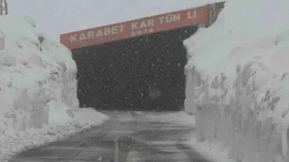 Van'da mevsim geçişi sert yaşanıyor: Zirvelere beyaz örtü indi