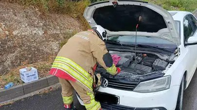 Motor kaputundan gelen sesler herkesi harekete geçirdi: Minik canlar için seferberlik