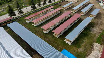 Taşköprü’de üreticinin yüzü güldü: Hayvan pazarında beklenen dönüşüm bitti