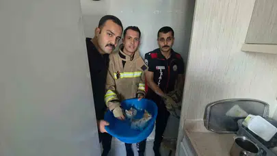 Hatay'da nefes kesen kurtarma operasyonu: Minik canlar için duvarları yıktılar