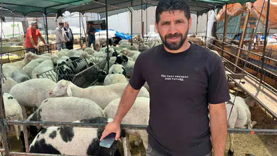 İzmir’de kurbanlık telaşı dijital platformlara taşındı: Pazara gitmeden seçim dönemi