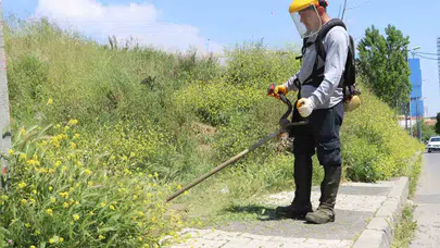 Maltepe’de yaz temizliği mesaisi: Ekipler sahaya indi