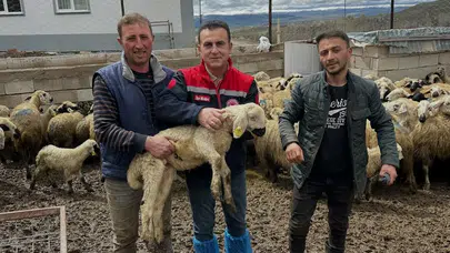Kırsalda üretim seferberliği: Aydıntepe’de hayvancılık desteği denetim altında