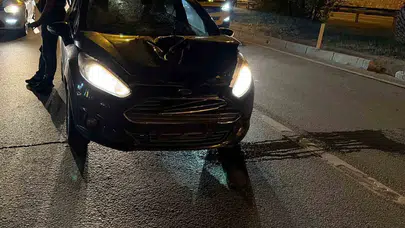 Alanya'da gece yarısı acı olay: Yolun karşısına geçmek isterken canından oldu