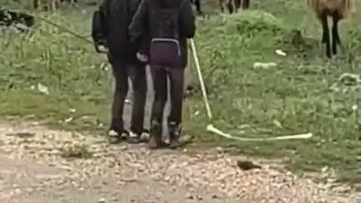Sürünün ortasında neşeli anlar: Elazığ’da çocukların keyifli anları izleyenleri gülümsetti