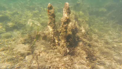 Kuşadası’nda deniz keyfi kabusa dönüşebilir: Yılancıburnu’ndaki gizli tehlikeye dikkat