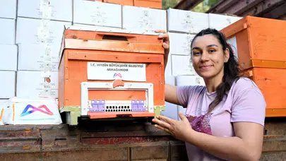 Mersin'de arıcılıkta devrim: Kendi kendine yeten modelle milyonluk tasarruf