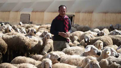 Vatanından binlerce kilometre uzakta ekmek mücadelesi: Kırıkkale’nin bozkırında yeni bir hayat