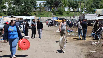 Kurban telaşı son güne kaldı: Elazığ’da pazarlıklar kızıştı, fiyatlar düştü