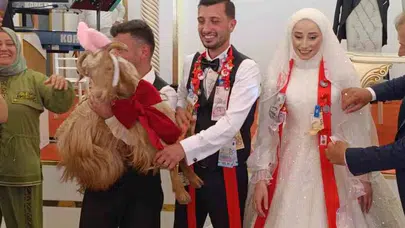 Altın devri bitti, keçi dönemi başladı: Trabzon'daki düğünde herkesi şaşkına çeviren hediye