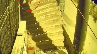 Bursa’da pes dedirten hırsızlık: Vitrin mankeni gibi giyinip dükkanı talan etti