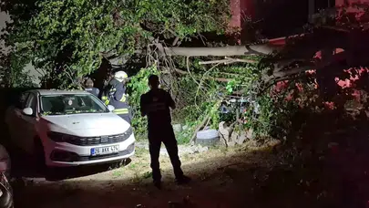 Eskişehir'de korku dolu anlar: Dev dut ağacı park halindeki araçları hurdaya çevirdi