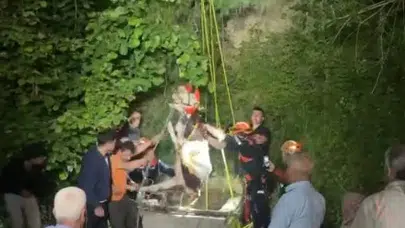 Kuyuya düşen ineğin yaşam mücadelesi: Ekipler seferber oldu