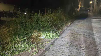 Bilecik’te yollar ormana döndü: Vatandaşlar yürümeye yer bulamıyor