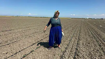 70 yaşında ama yorulmak nedir bilmiyor: Doktoru hareket et dedi, o tarlaların tozunu attırıyor