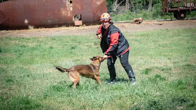 Muğla’nın kahraman köpekleri Avrupa’yı kendine hayran bıraktı: Tayga ve Foxy’den tam not