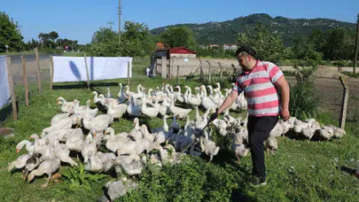 Fındığı tahtından edecek girişim: 20 kazla başladı, bölgenin yeni geçim kaynağı oldu