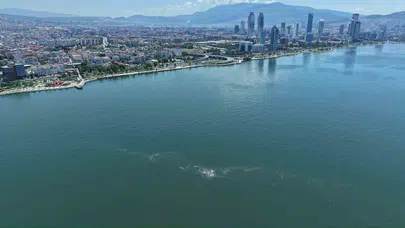 İzmir Körfezi'nde alarm zilleri: 14'üncü kez aynı manzara yaşandı