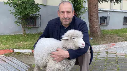 Adliye koridorlarının en sadık dostu: Tertip mesaiye başladı