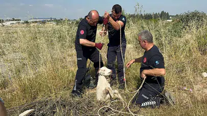 Otlarken ölümle burun buruna geldi: Yardım çığlığı hayatını kurtardı