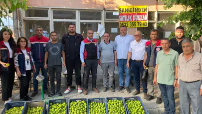 İncirin başkentinde kalite nöbeti: Üreticiye "sağlıklı ilek" uyarısı